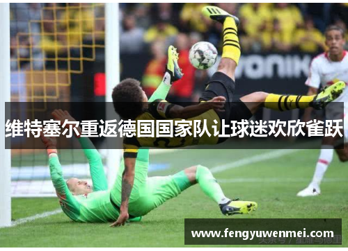 维特塞尔重返德国国家队让球迷欢欣雀跃